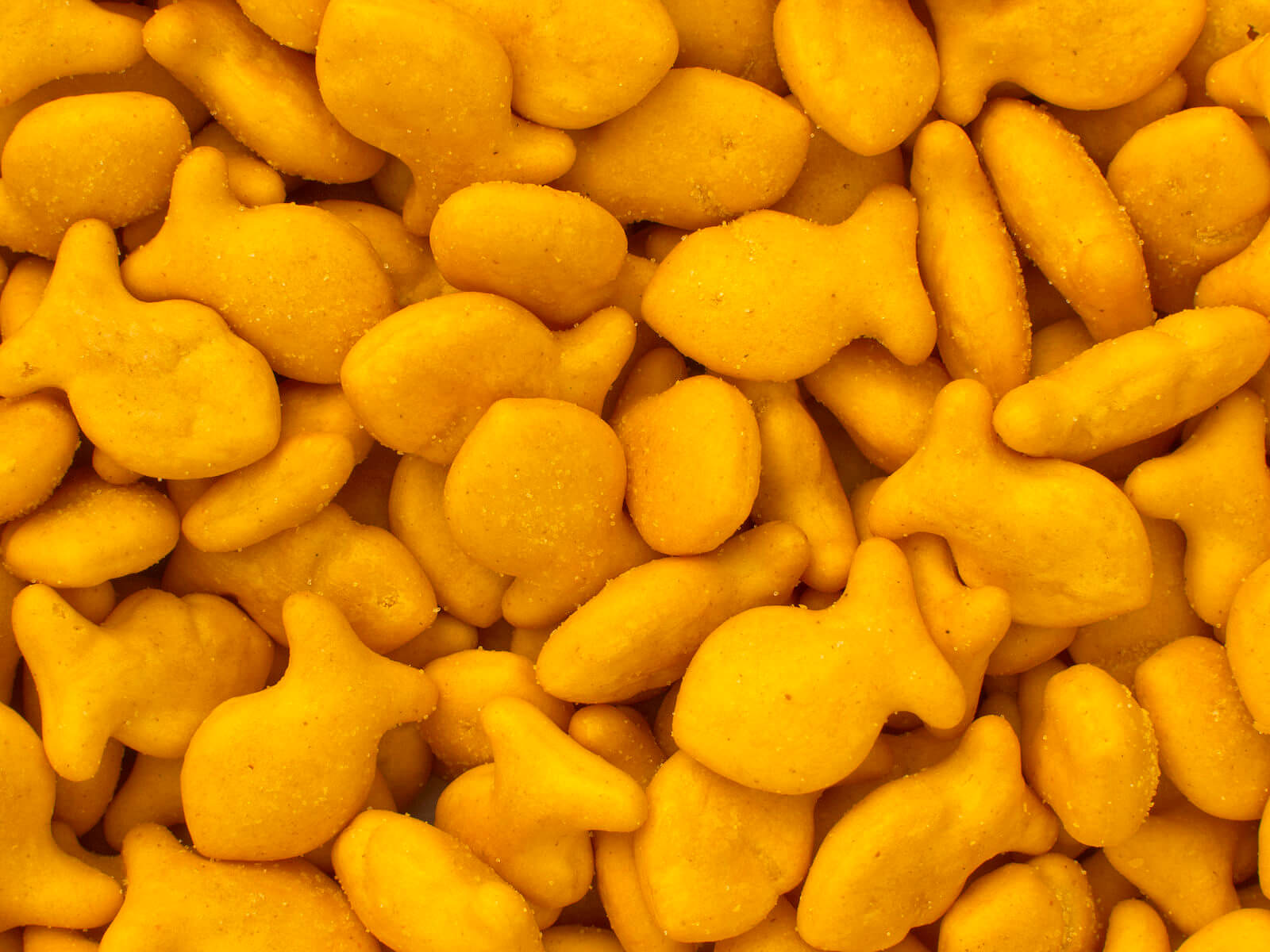 Goldfish on kids teeth